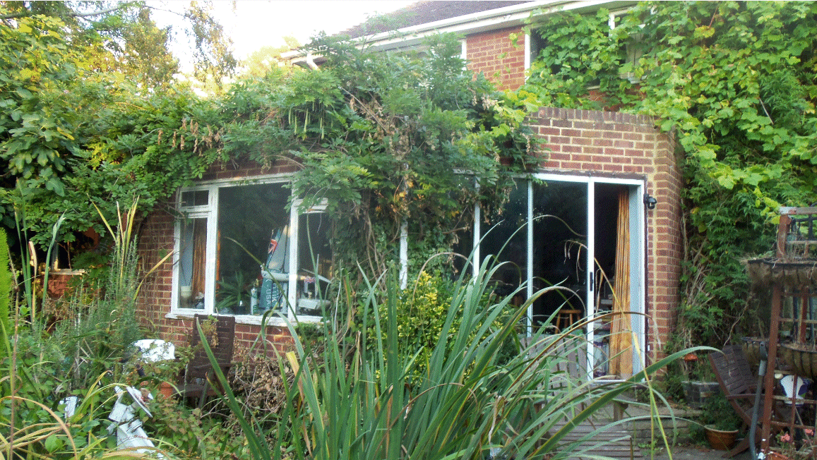 Robin & June's garden