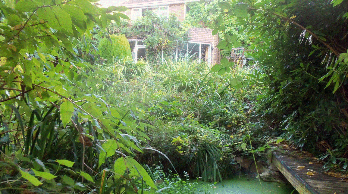 Robin & June's garden