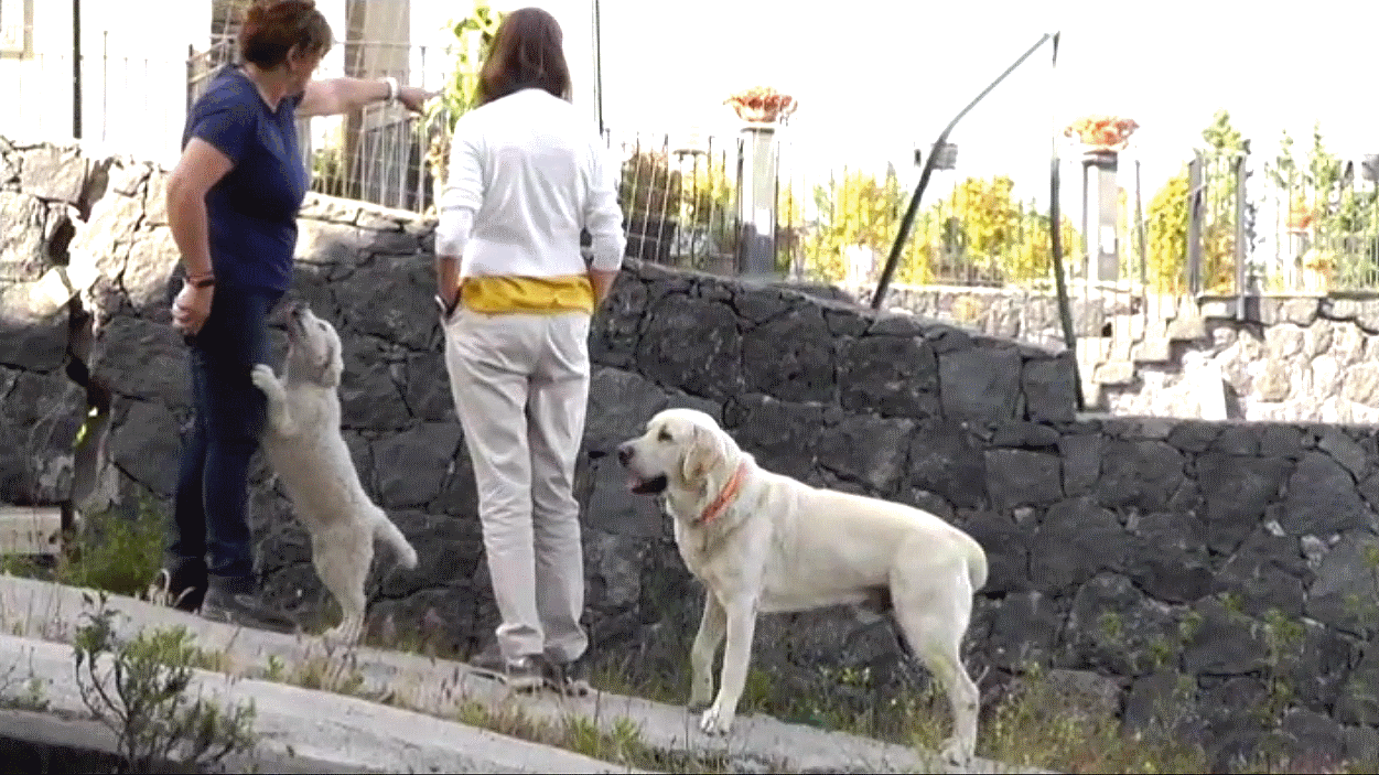  Holiday in Sicily in May 2019 with Robin and June Lovelock 