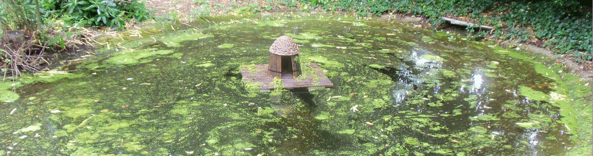AMRA Pond