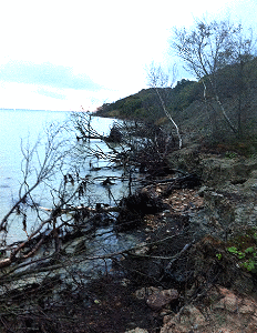 the difficult path to Snoopy