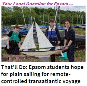Epsom Local Guardian