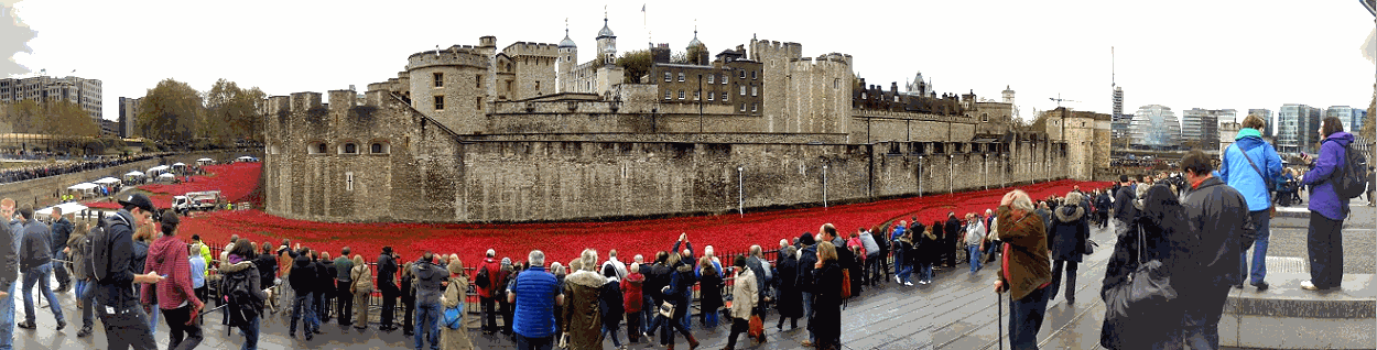 Tower of London red poppy