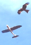 Red Kite with Snoopy