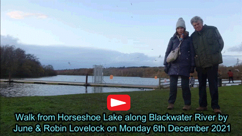 Horseshoe Lake video on 6th December 2021