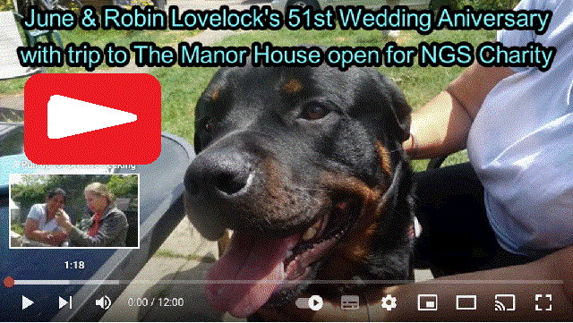 51st Wedding Anniversary