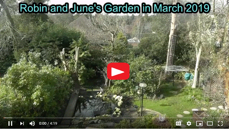 Robin and June's Garden in March 2019