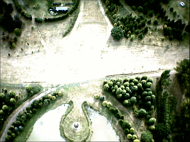 old aerial photo of Windlesham Arboretum