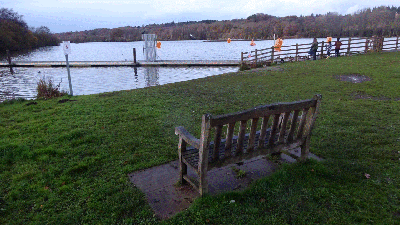 Horseshoe Lake on 6 Dec 2021
