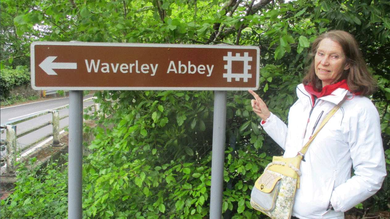 Waveley Abbey and Moor Park Nature Reserve pictures